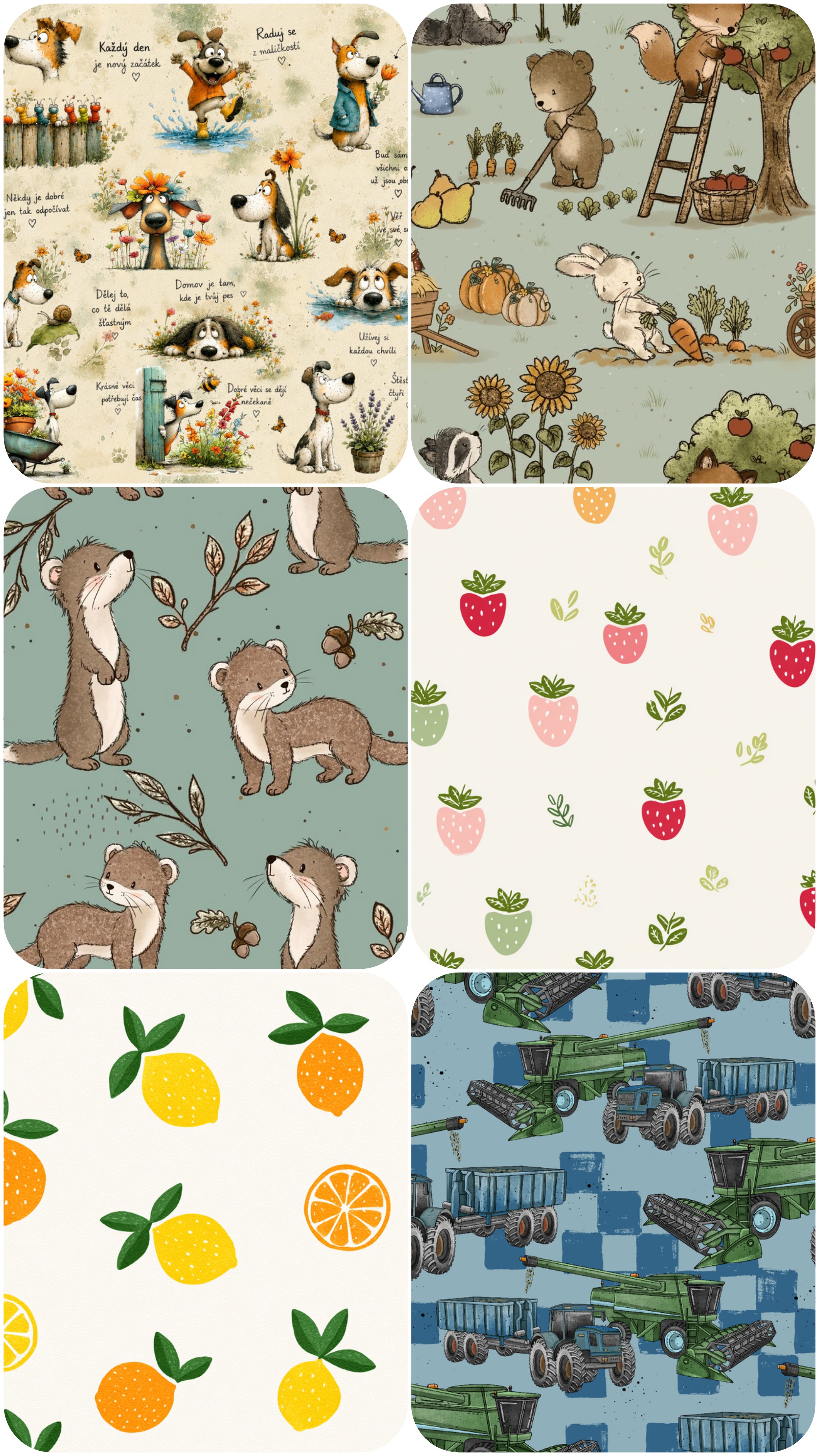 20260725_125947-COLLAGE